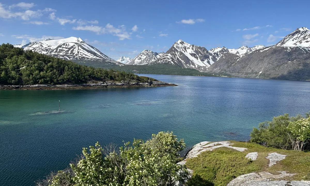 Årøyholmen: {"base": "se", "no": "Slik ser innl\u00f8pet ut ved fj\u00e6re", "se": "S\u00e5 h\u00e4r ser inloppet ut vid fj\u00e4re", "en": "This is what the inlet looks like at Fj\u00e4re", "da": "S\u00e5dan ser indl\u00f8bet ud ved fj\u00e6re", "fr": "Voici \u00e0 quoi ressemble l'entr\u00e9e au fj\u00e4rd", "de": "So sieht die Einfahrt bei Fj\u00e4re aus", "es": "Este es el aspecto de la entrada en fj\u00e4re", "it": "Ecco com'\u00e8 l'ingresso al porto di Fj\u00e4re", "pt": "\u00c9 assim que a entrada do porto parece em fj\u00e4re", "nl": "Zo ziet de ingang eruit bij fj\u00e4re", "pl": "W ten spos\u00f3b wygl\u0105da wej\u015bcie do portu w fj\u00e4re", "uk": "\u041e\u0441\u044c \u0442\u0430\u043a \u0432\u0438\u0433\u043b\u044f\u0434\u0430\u0454 \u0432\u0445\u0456\u0434 \u0434\u043e \u0433\u0430\u0432\u0430\u043d\u0456 \u0432 \u0424'\u0454\u0440\u0435", "ro": "A\u0219a arat\u0103 intrarea \u00een port la Fj\u00e4re", "tr": "Fj\u00e4re giri\u015f g\u00fczergah\u0131 a\u015fa\u011f\u0131daki gibidir.", "el": "\u0388\u03c4\u03c3\u03b9 \u03c6\u03b1\u03af\u03bd\u03b5\u03c4\u03b1\u03b9 \u03b7 \u03b5\u03af\u03c3\u03bf\u03b4\u03bf\u03c2 \u03c3\u03c4\u03bf \u03bb\u03b9\u03bc\u03ac\u03bd\u03b9 \u03c3\u03c4\u03bf \u03a6\u03b9\u03ac\u03c1\u03b5", "cs": "Takto vypad\u00e1 vjezd u fj\u00e6re", "hu": "\u00cdgy n\u00e9z ki a bej\u00e1rat Fj\u00e4re-n\u00e9l", "fi": "T\u00e4lt\u00e4 n\u00e4ytt\u00e4\u00e4 sataman sis\u00e4\u00e4nk\u00e4ynti fj\u00e4rill\u00e4", "bg": "\u0415\u0442\u043e \u0442\u0430\u043a\u0430 \u0438\u0437\u0433\u043b\u0435\u0436\u0434\u0430 \u0432\u0445\u043e\u0434\u044a\u0442 \u043d\u0430 \u043f\u0440\u0438\u0441\u0442\u0430\u043d\u0438\u0449\u0435\u0442\u043e \u043f\u0440\u0438 Fj\u00e4re", "sr": "Ovako izgleda ulaz u Fj\u00e4resund", "et": "Selline n\u00e4eb v\u00e4lja sadamasse sisenemine fj\u00e4rdes", "lv": "L\u016bk, \u0161\u0101di izskat\u0101s ieeja Fj\u00e4re ost\u0101", "lt": "\u0160tai kaip atrodo \u012fplaukos \u012f fj\u00e4rj\u0119"}