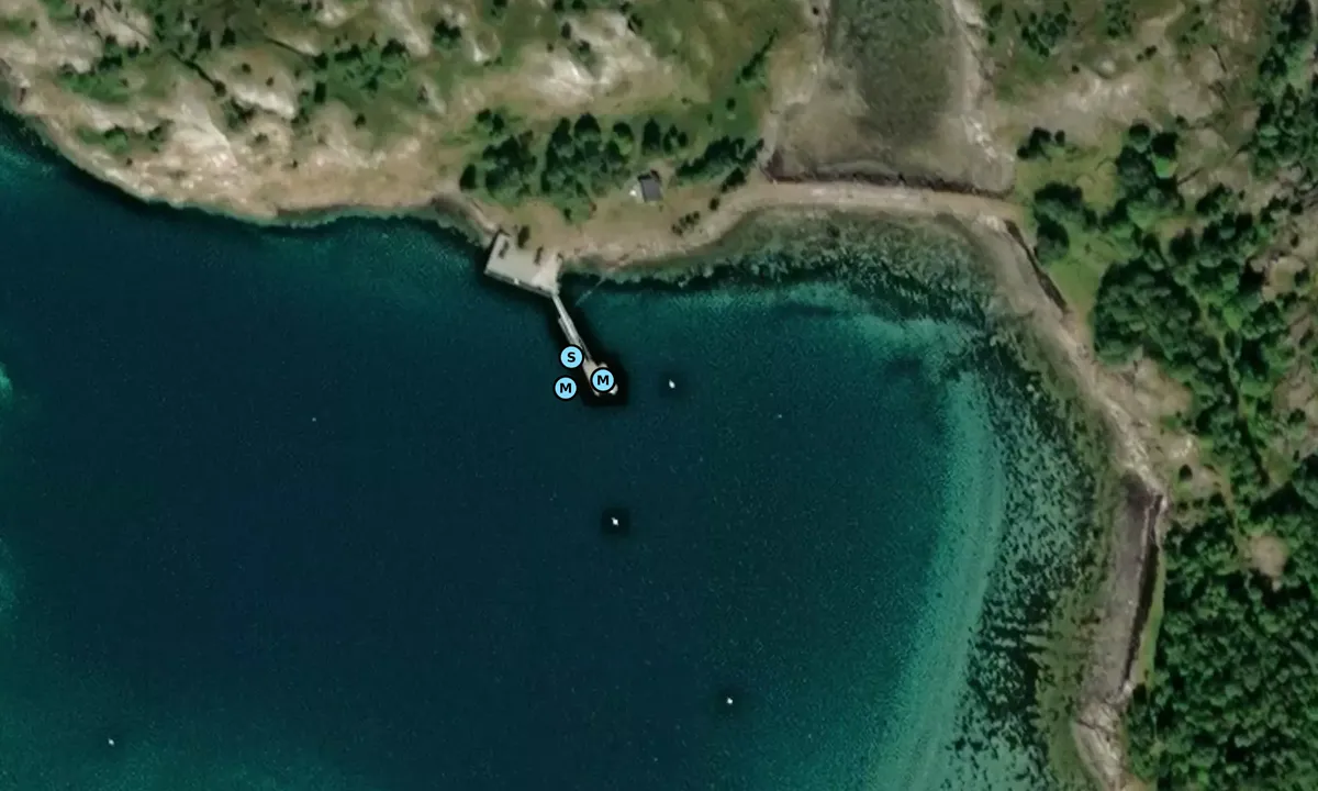 Satelite image of Årøyholmen