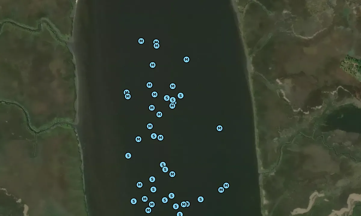 Satelite image of Ashepoo River - 1