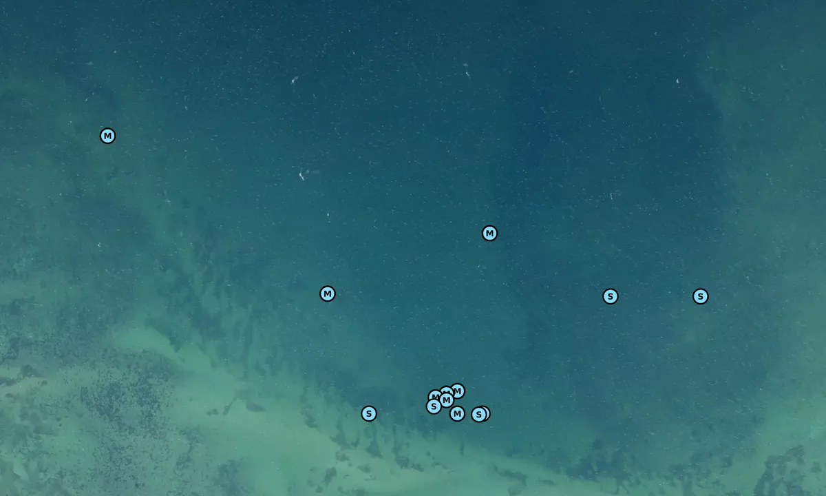 Satelite image of Assens Sejlklub bouy