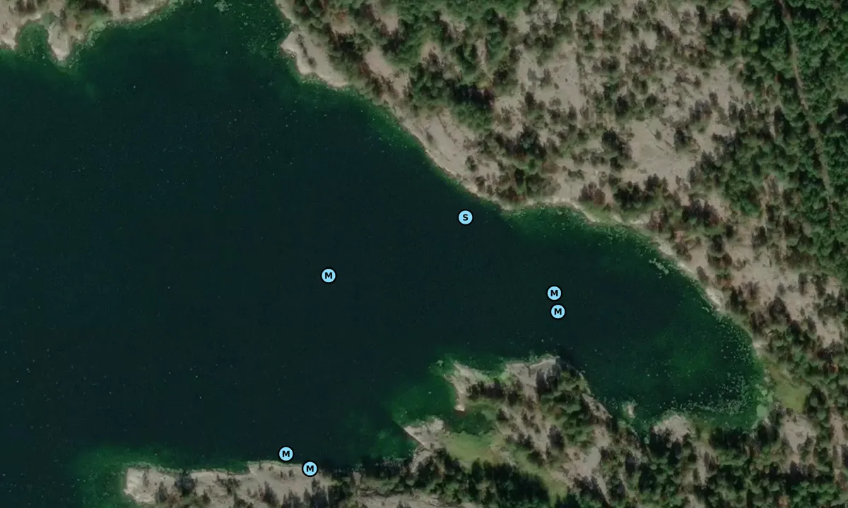 Satelite image of Åsvikslandet