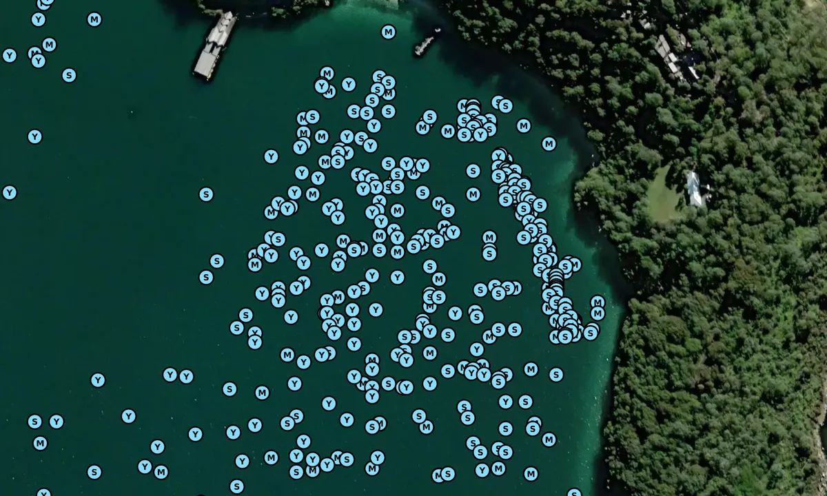 Satelite image of Athol Bay (moorings)