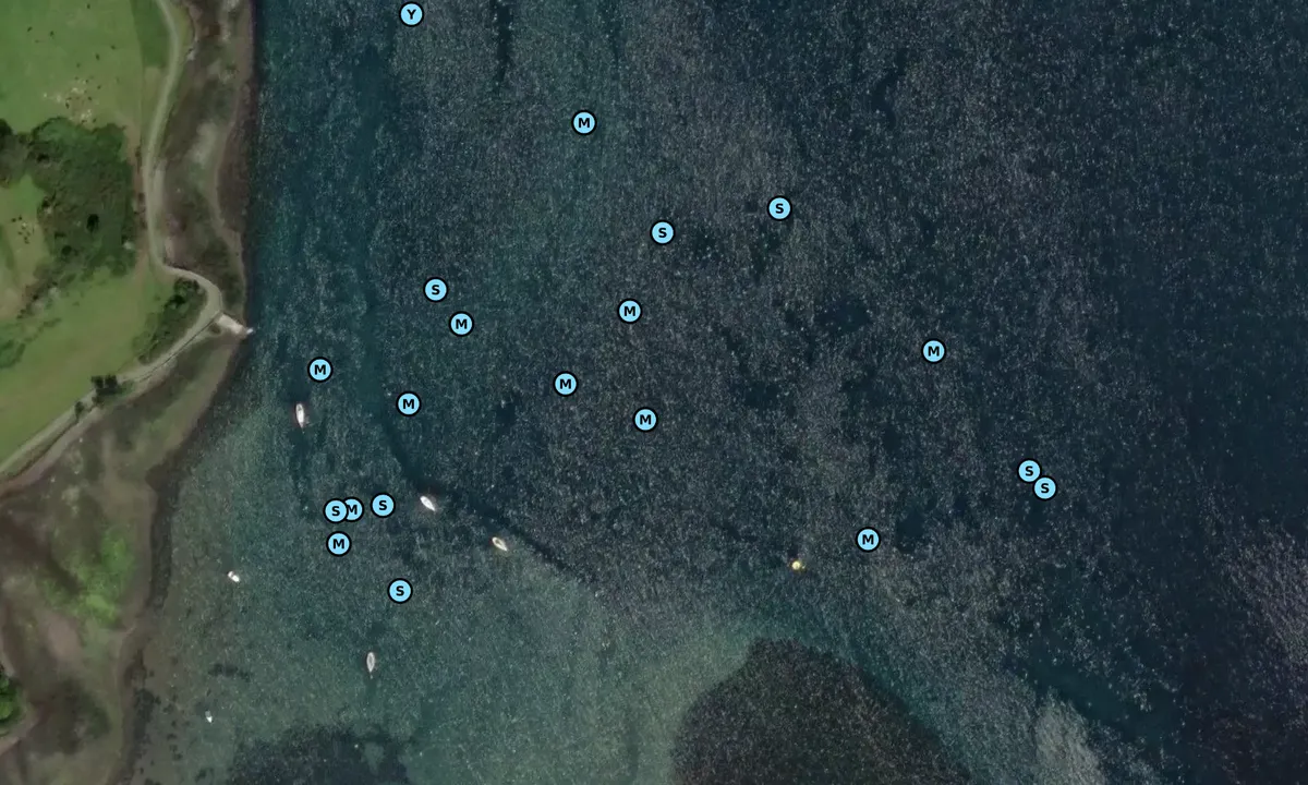 Satelite image of Audley Roads