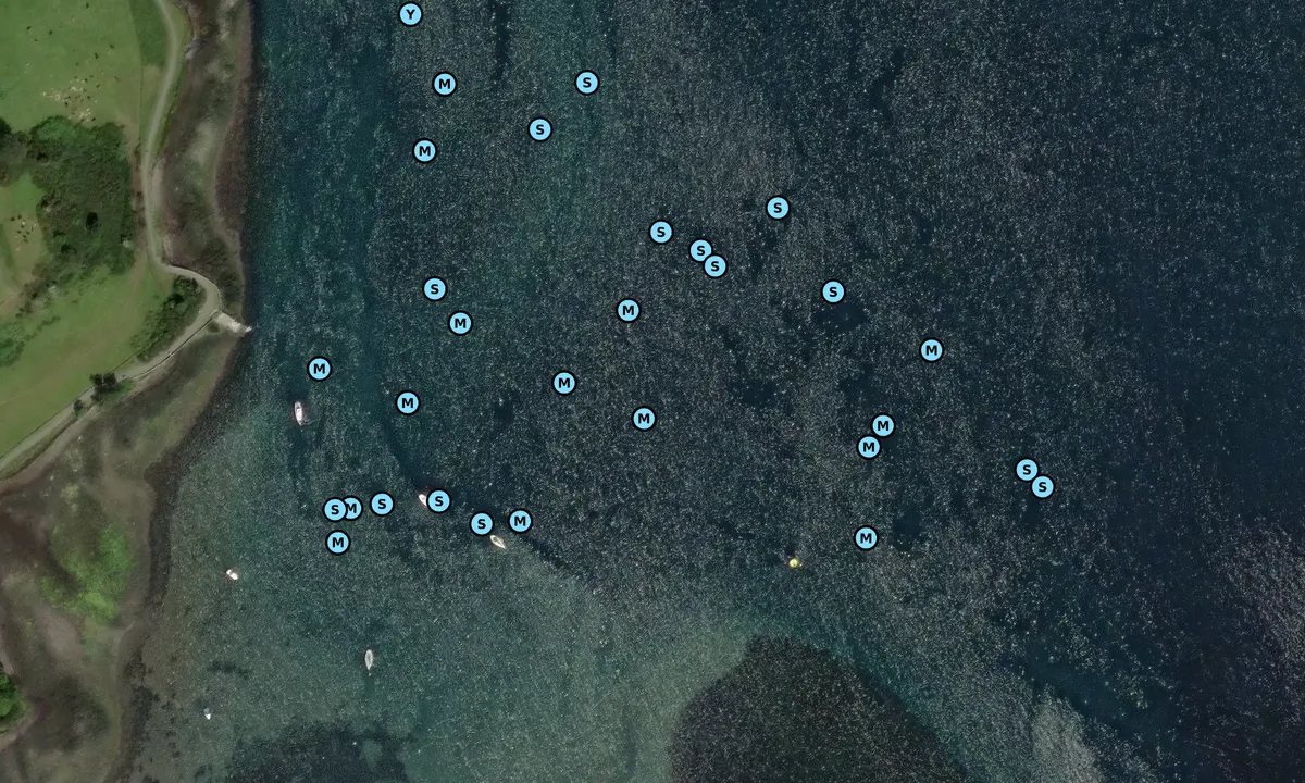 Satelite image of Audley Roads