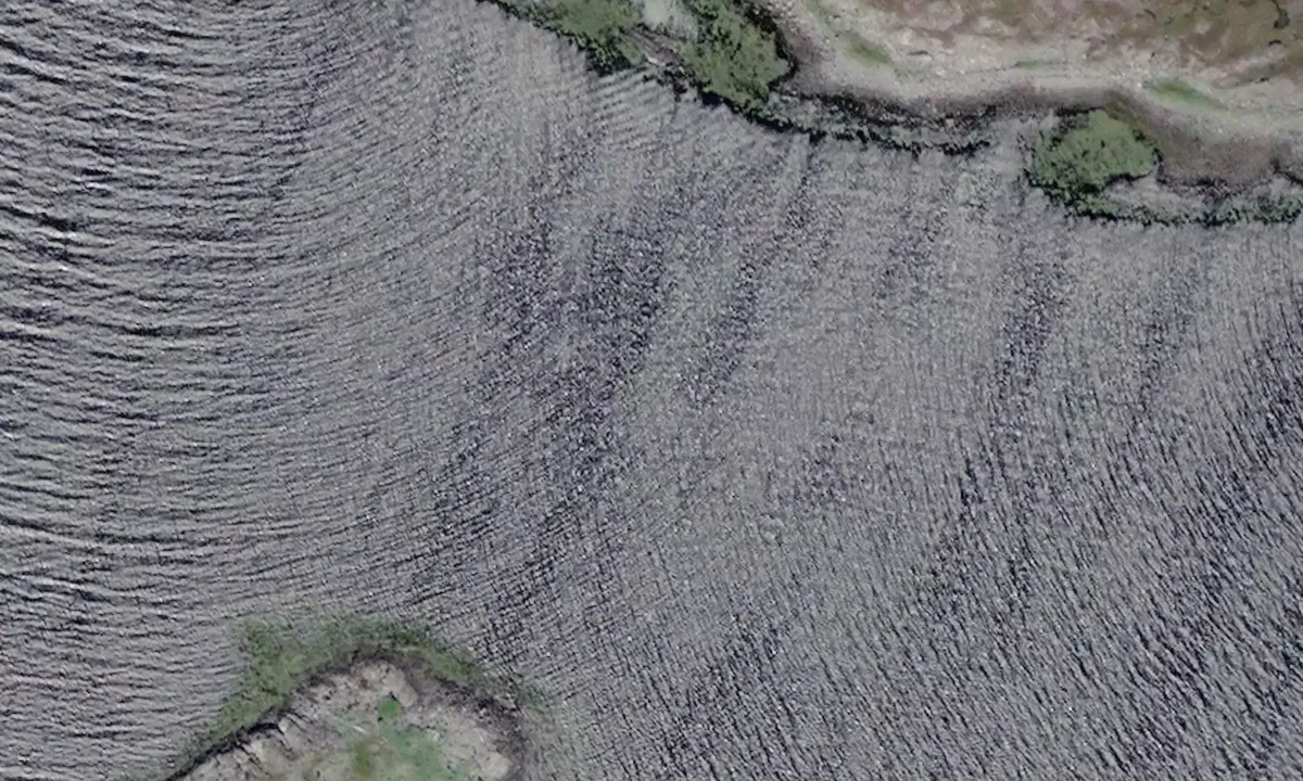 Satelite image of Aunøya