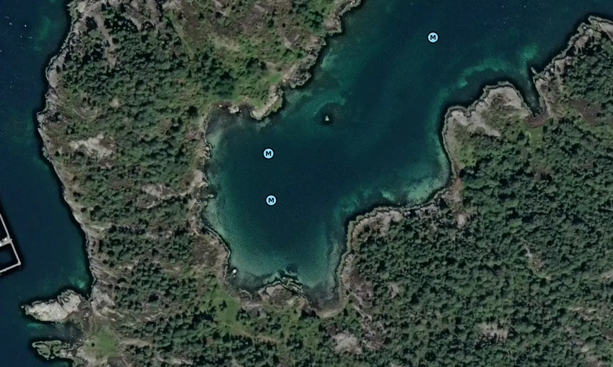 Satelite image of Austnes