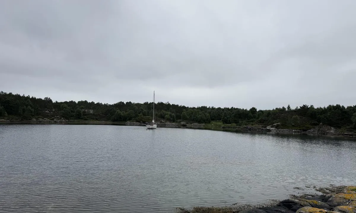 Austnes