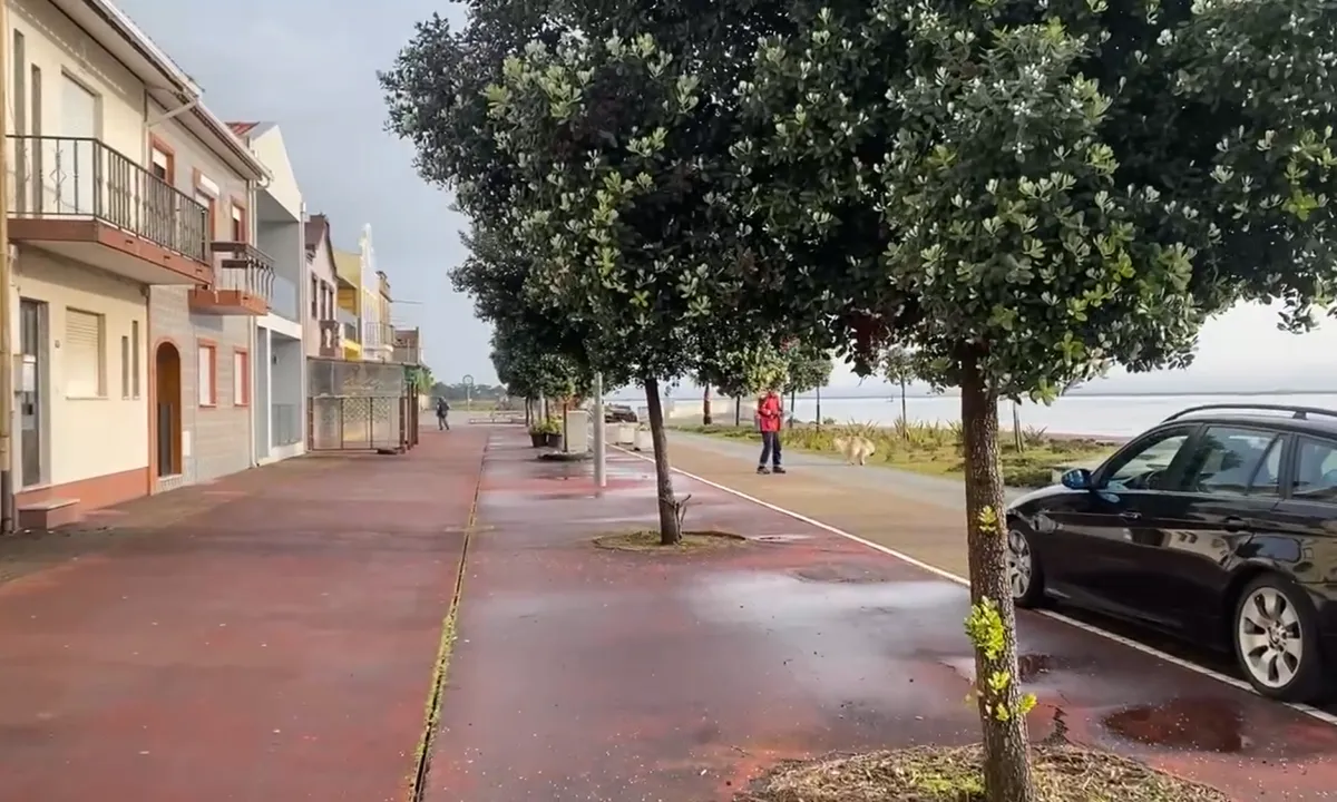 Aveiro: Gatan med restauranger och caféer nere i ”hamnen” vid ankringsplatsen