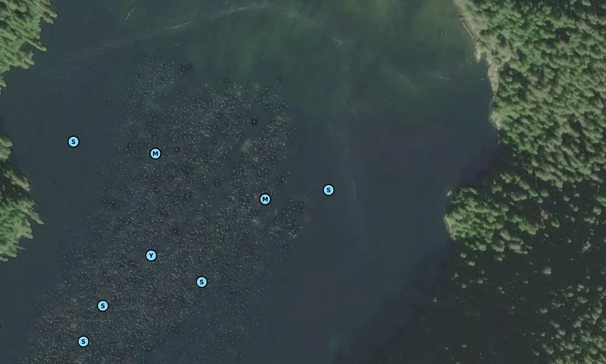 Satelite image of Bacchante Bay