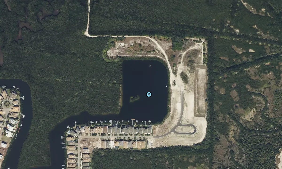 Satelite image of Back Cove