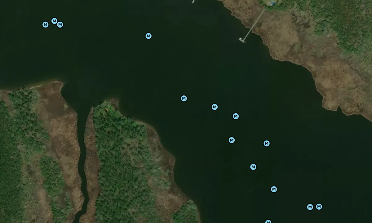 Satelite image of Back Creek - Merrimon