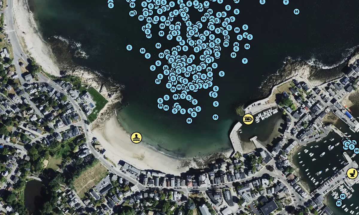 Satelite image of Back Harbor
