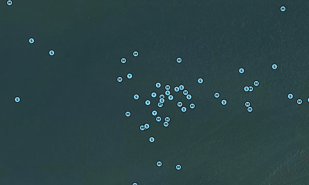 Satelite image of Back River Bend