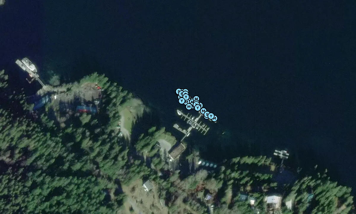 Satelite image of Backeddy Resort and Marina