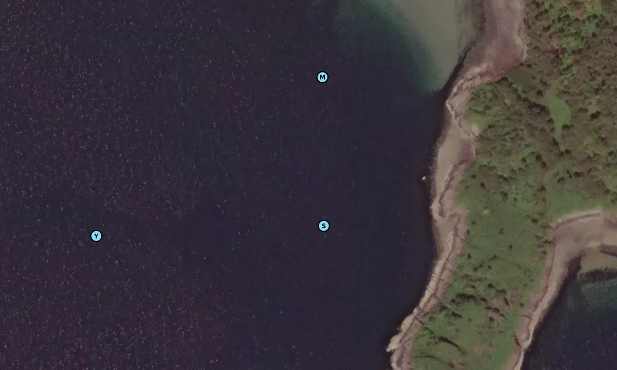 Satelite image of BAGH BUIC