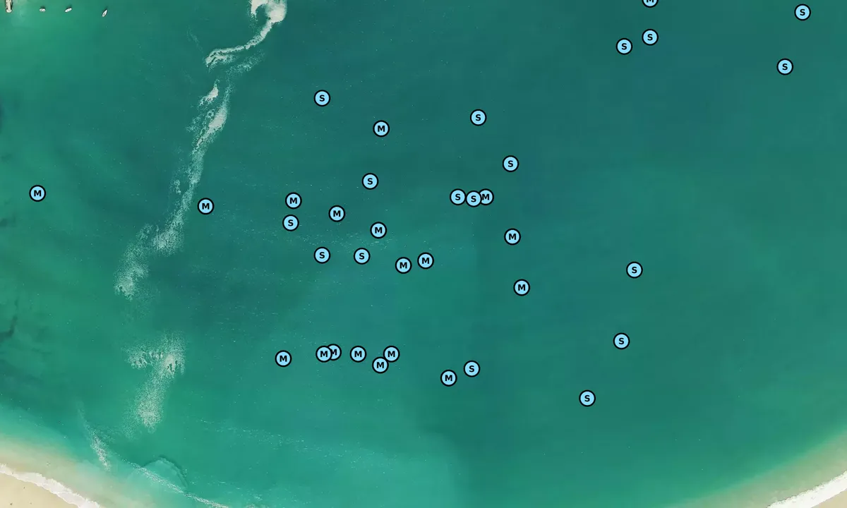 Satelite image of Bahía de la Concha