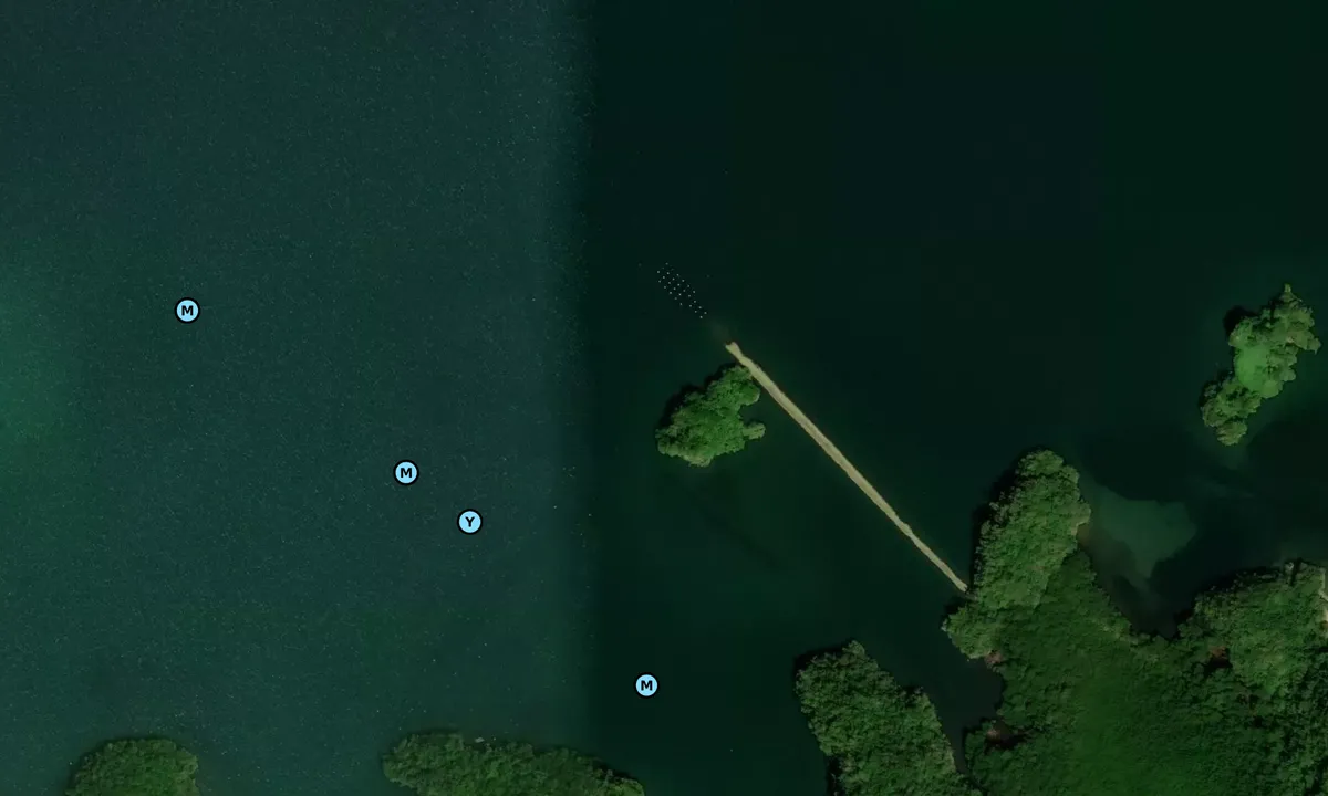 Satelite image of Bahia De San Lorenzo