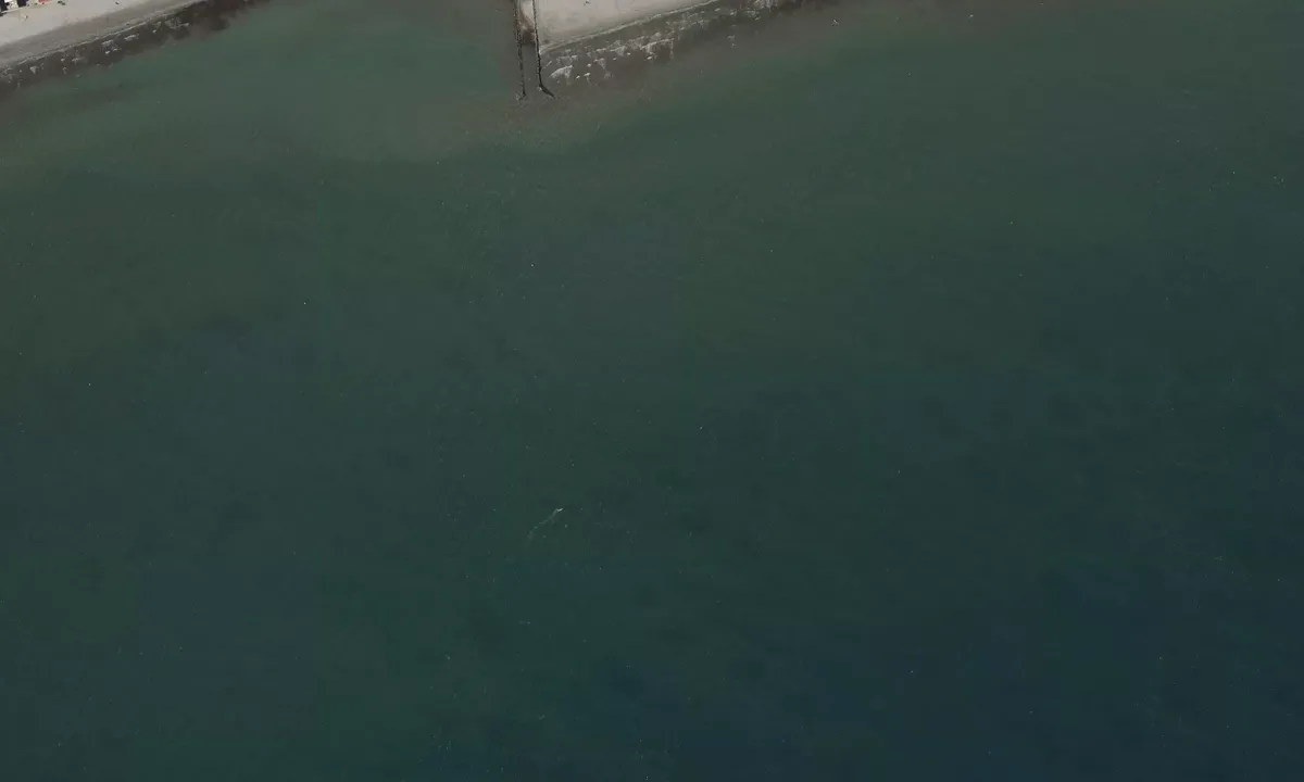 Satelite image of Bahía de Santa Pola