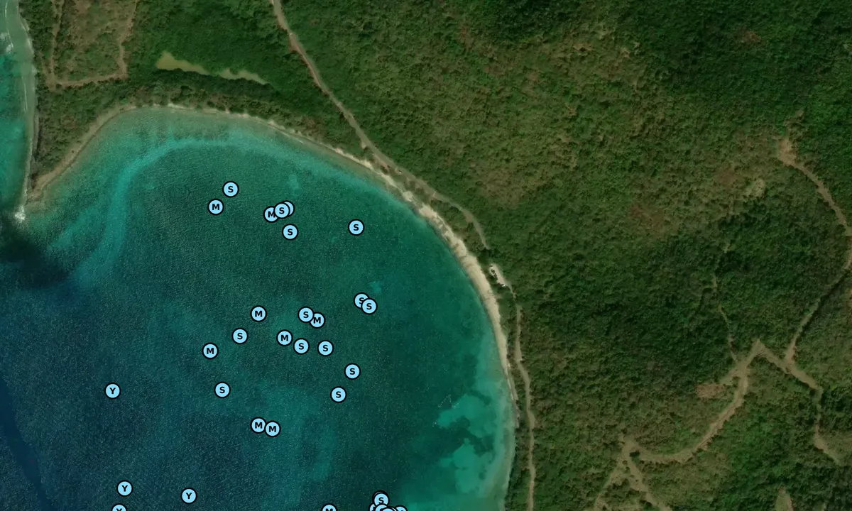 Satelite image of Bahia Tamarindo (moorings)