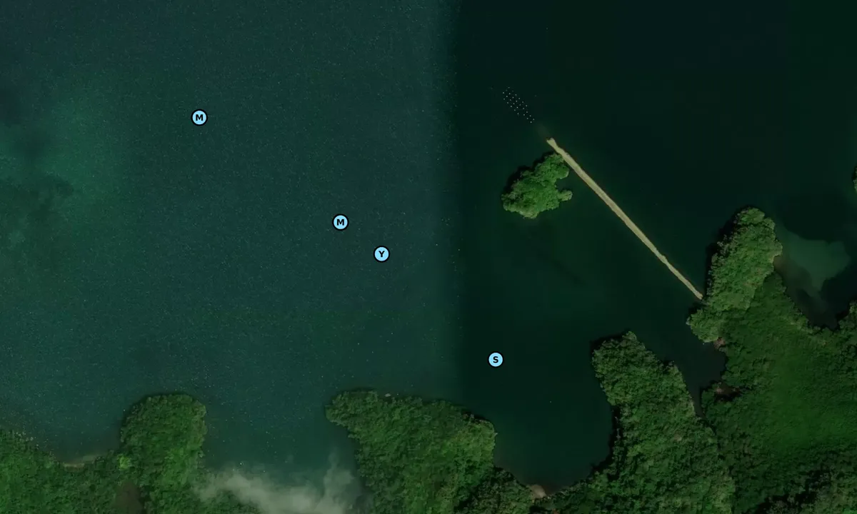 Satelite image of Baia de Samana