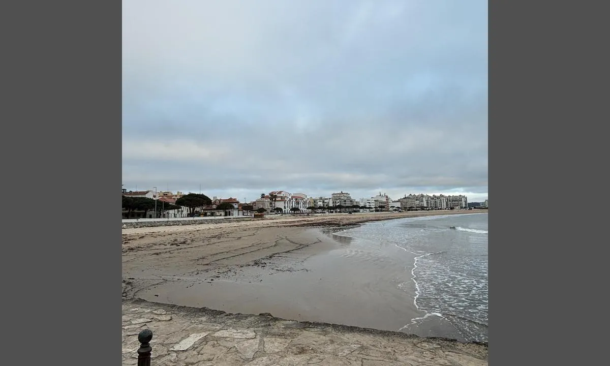 Baia de São Martinho do Porto: {"base": "se", "no": "Sandstranden.", "se": "Sandstranden.", "en": "The sandy beach.", "da": "Sandstranden.", "fr": "La plage de sable.", "de": "Der Sandstrand.", "es": "La playa de arena.", "it": "La spiaggia di sabbia.", "pt": "A praia de areia.", "nl": "Het zandstrand.", "pl": "Piaszczysta pla\u017ca.", "uk": "\u041f\u0456\u0449\u0430\u043d\u0438\u0439 \u043f\u043b\u044f\u0436.", "ro": "Plaja de nisip.", "tr": "Kumsal.", "el": "\u0397 \u03b1\u03bc\u03bc\u03bf\u03c5\u03b4\u03b9\u03ac.", "cs": "P\u00edse\u010dn\u00e1 pl\u00e1\u017e.", "hu": "A homokos strand.", "fi": "Hiekkaranta.", "bg": "\u041f\u044f\u0441\u044a\u0447\u043d\u0438\u044f\u0442 \u043f\u043b\u0430\u0436.", "sr": "\u041f\u0435\u0441\u043a\u043e\u0432\u0438\u0442\u0430 \u043f\u043b\u0430\u0436\u0430.", "et": "Liivarand.", "lv": "Smil\u0161u pludmale.", "lt": "Sm\u0117lio papl\u016bdimys."}