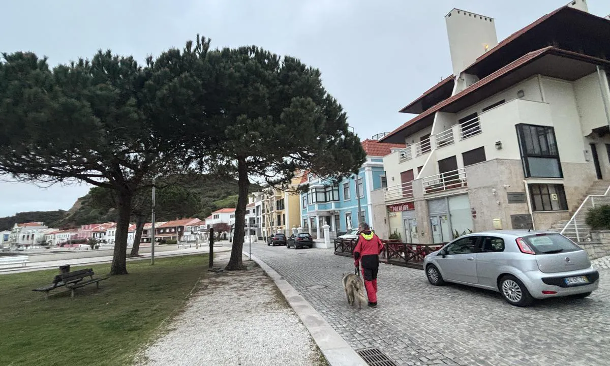 Baia de São Martinho do Porto