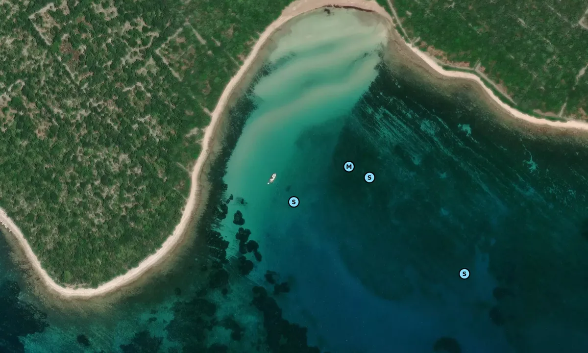 Satelite image of Baia Slatina