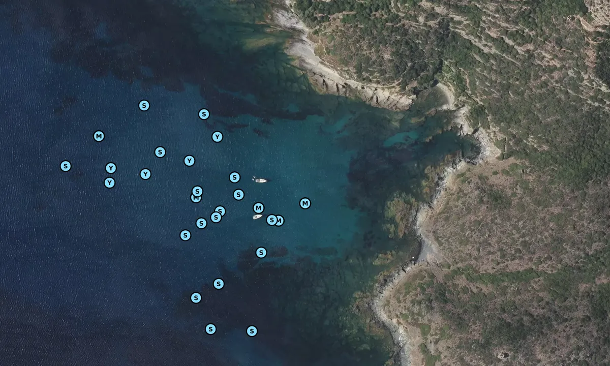 Satelite image of Baie de Centuri Nord