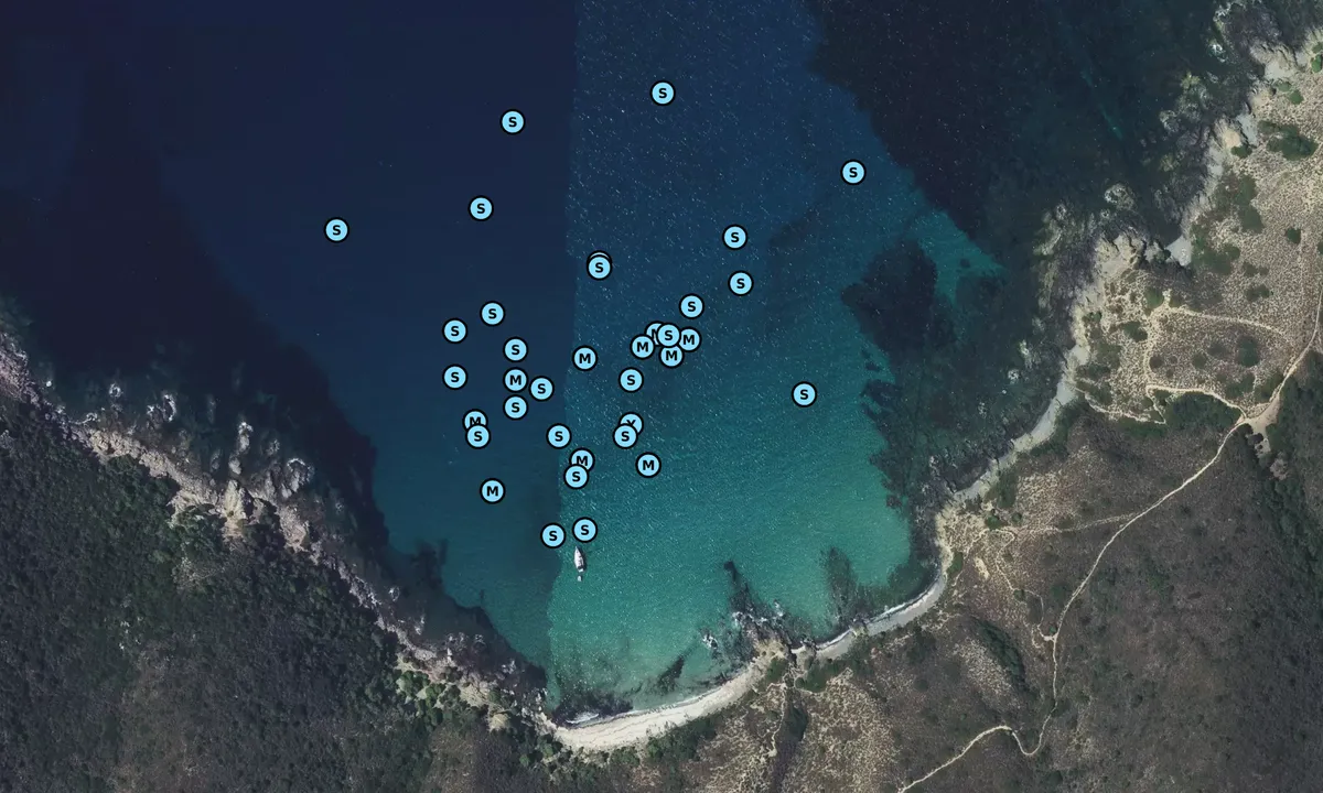 Satelite image of Baie de l'Acciolu