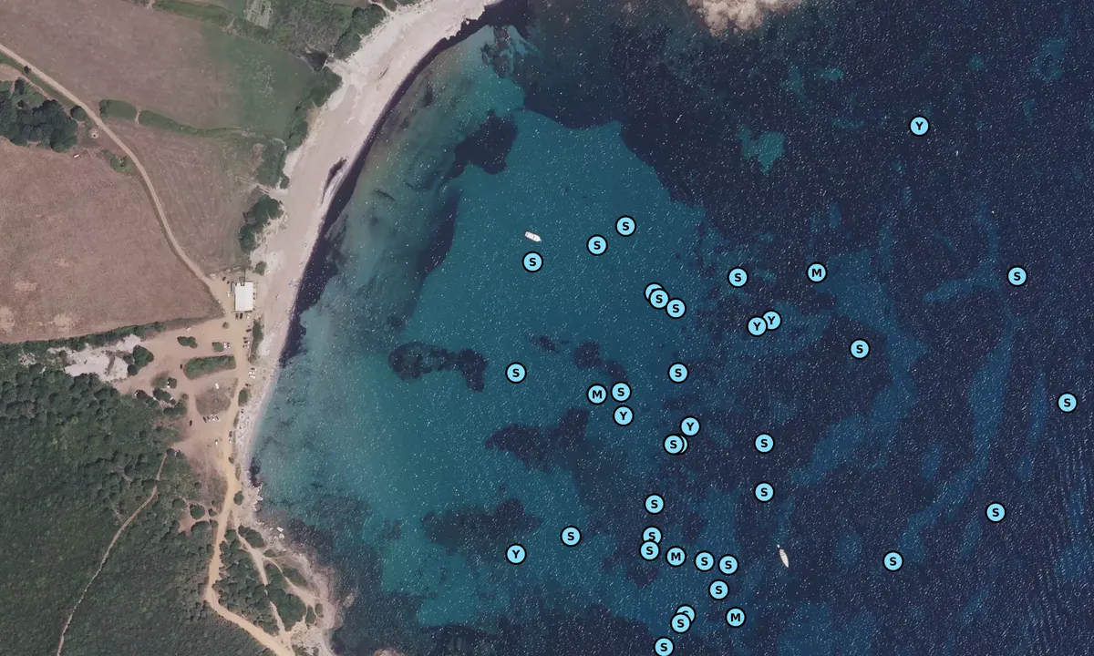 Satelite image of Baie de Tamarone