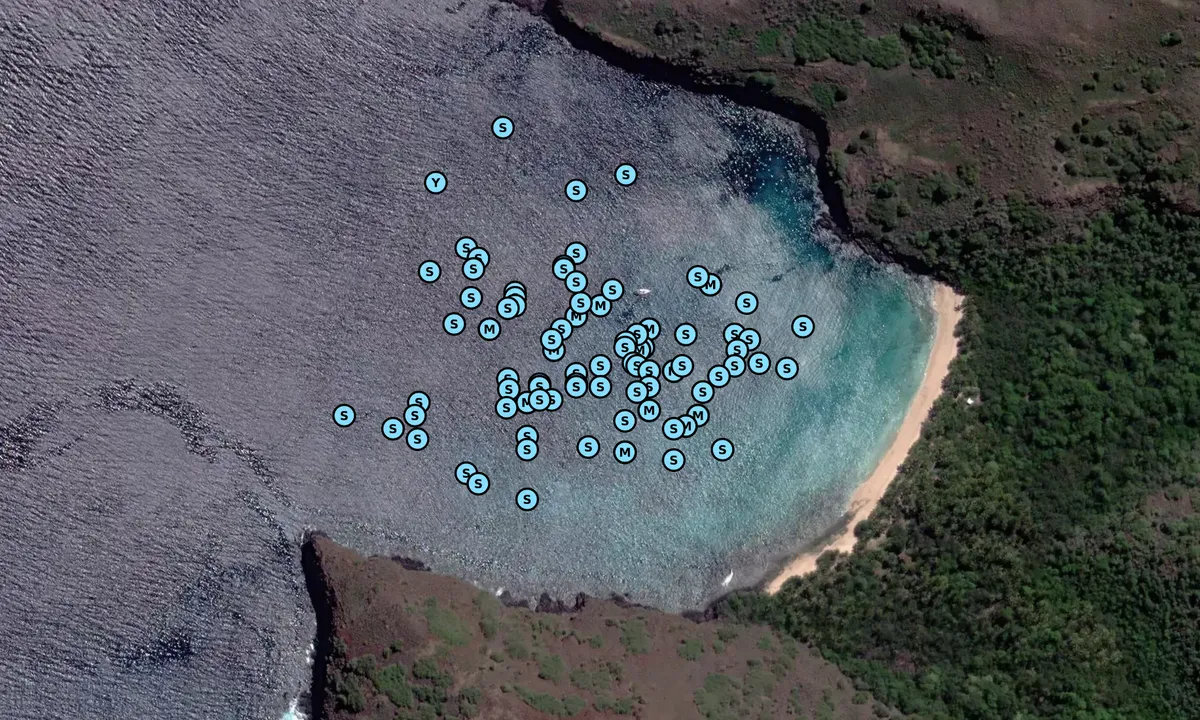 Satelite image of Baie Hanamoenoa 1