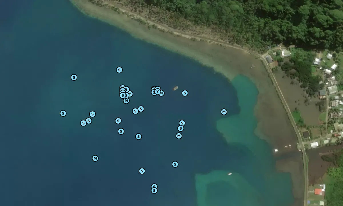 Satelite image of Baie Tapuamu (moorings)