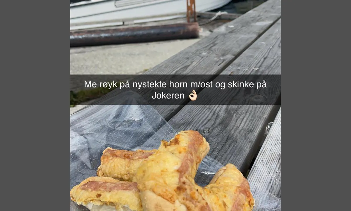 Bakkasund Gjestehavn: {"base": "no", "no": "Kan anbefales.", "se": "Kan rekommenderas.", "en": "Can be recommended.", "da": "Kan anbefales."}
