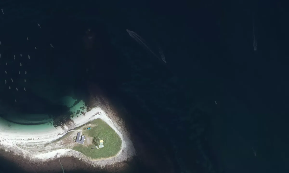 Flyfoto av Baleine Nord