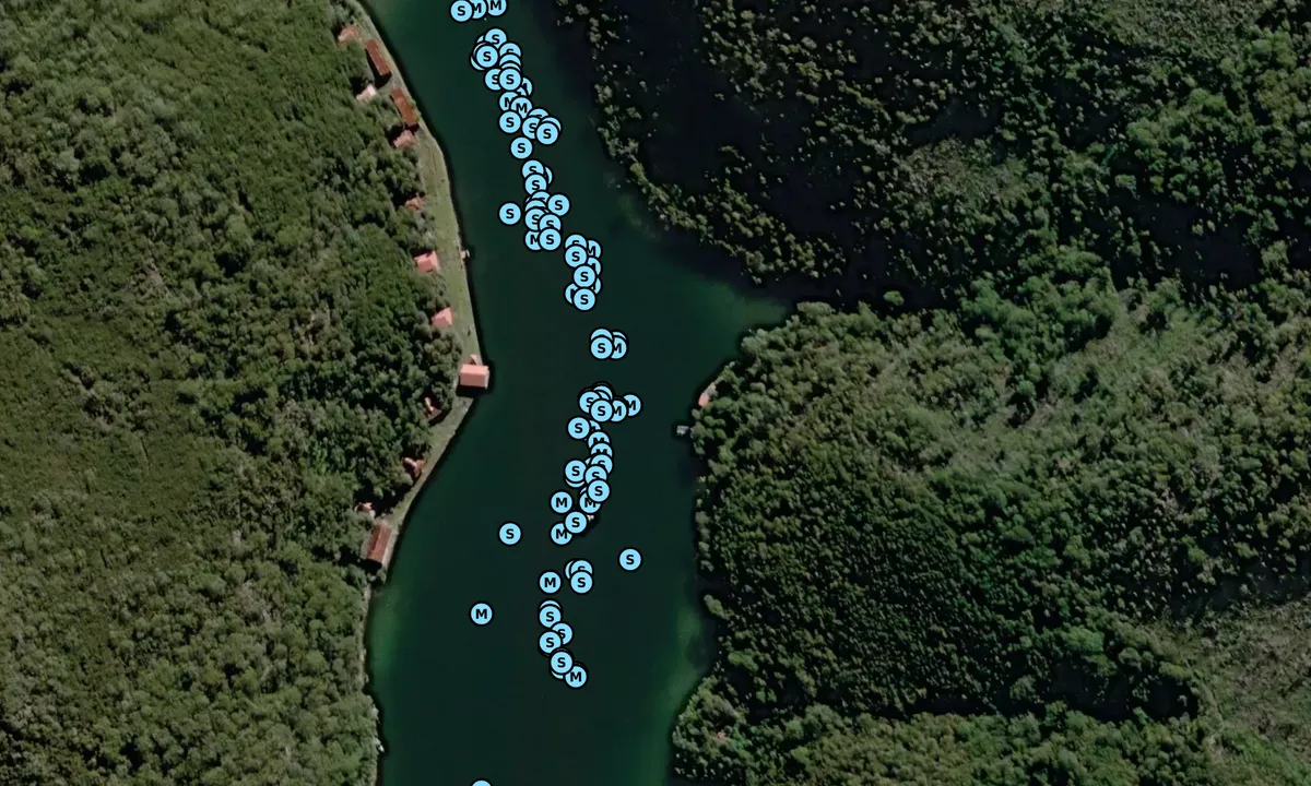 Satelite image of Bantry Bay (moorings)
