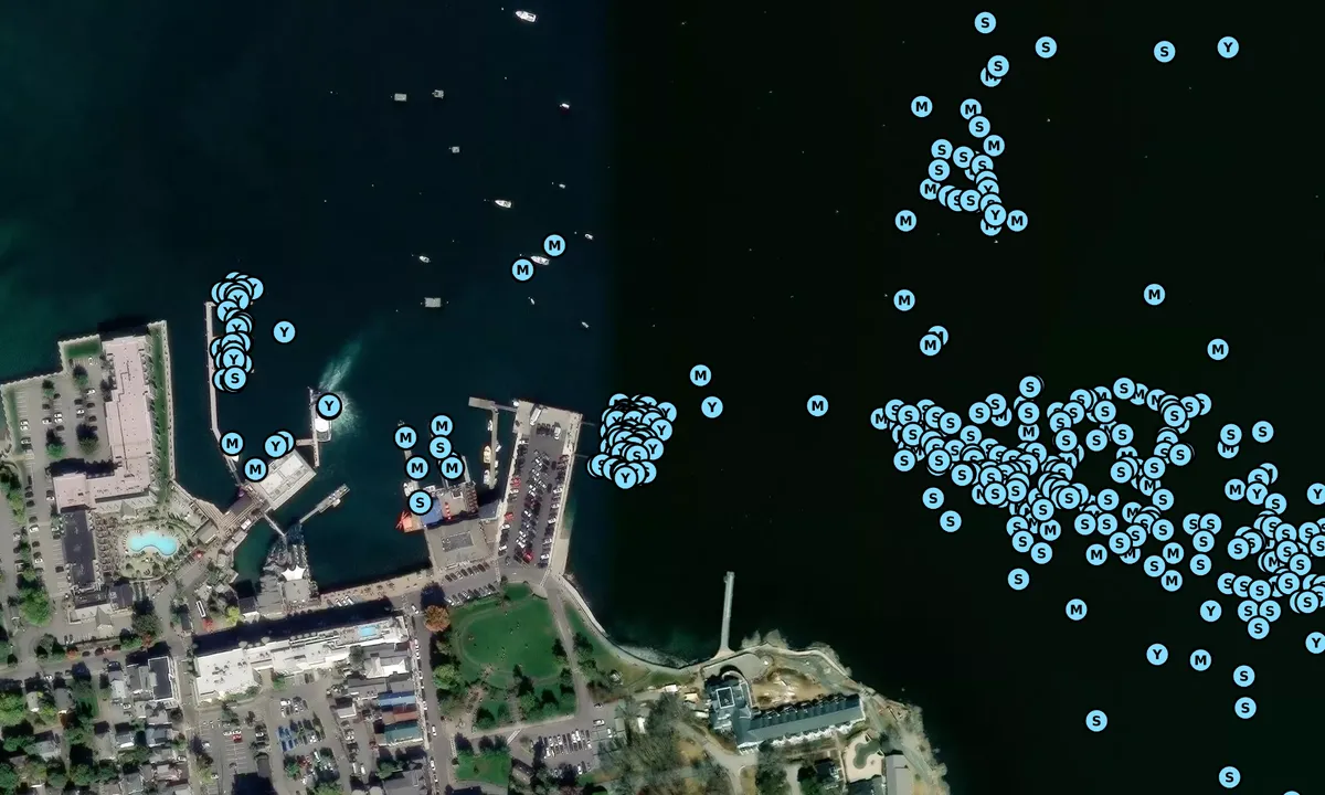 Satelite image of Bar Harbor Municipal Marina