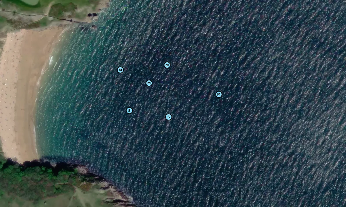 Satelite image of Barafundle Bay