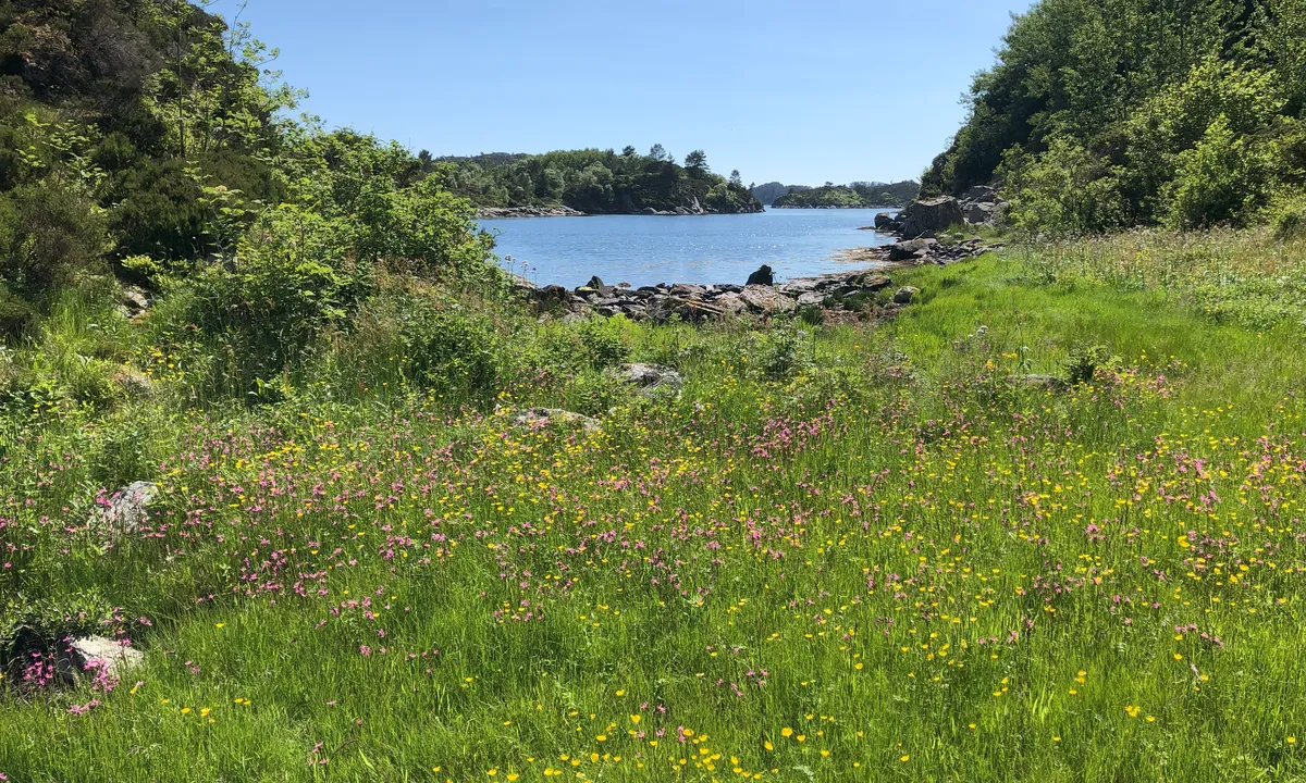 Sommer på Barmane