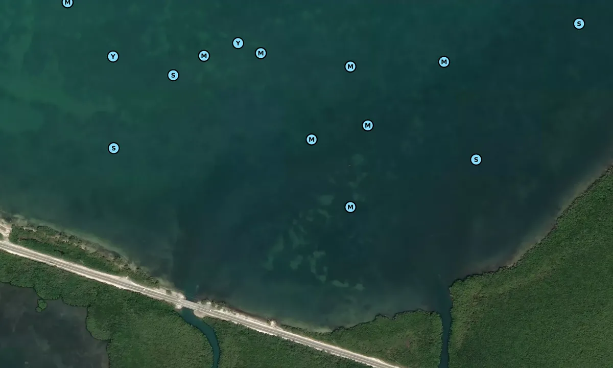 Satelite image of Barnes Point North