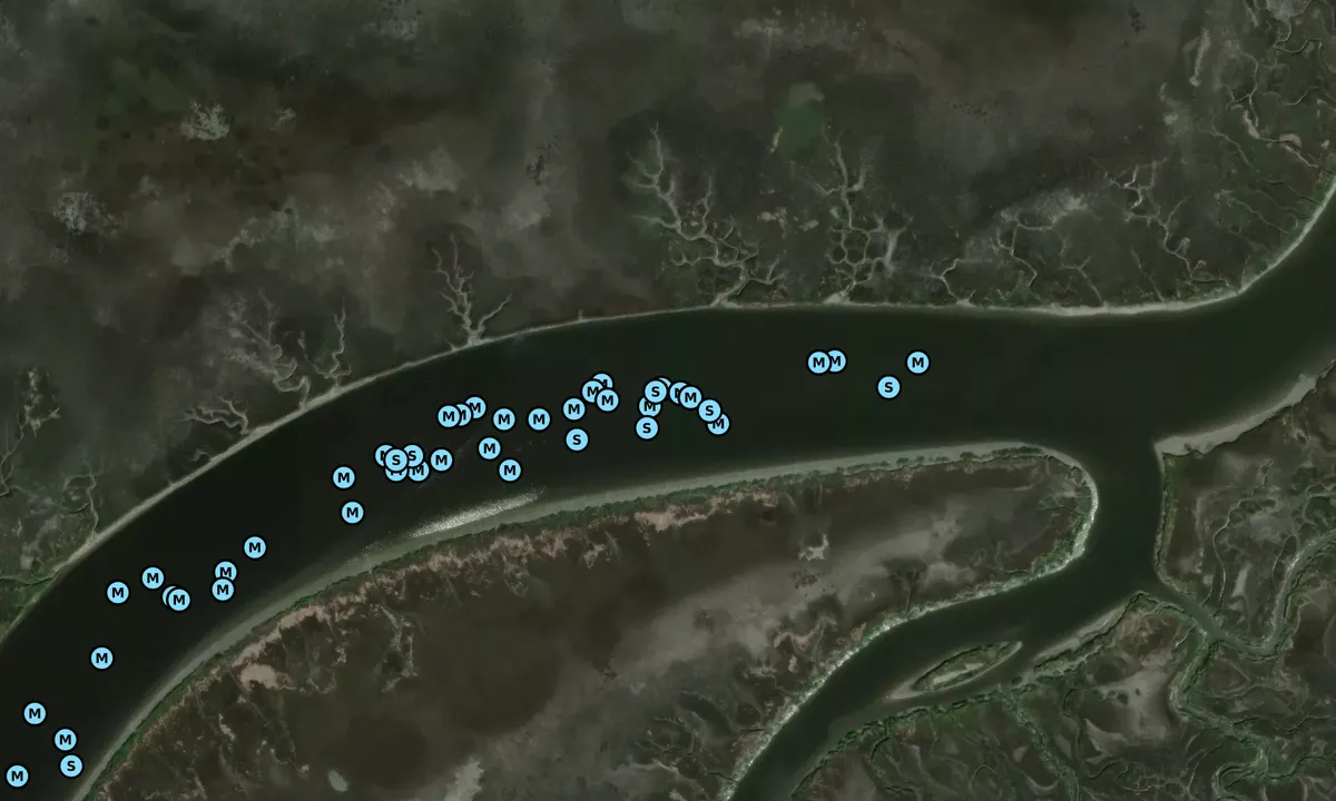 Satelite image of Bass Creek - 2