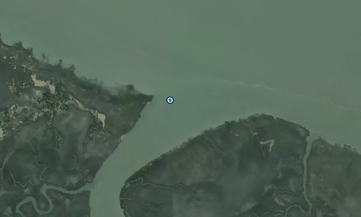 Satelite image of Bass Creek Mouth