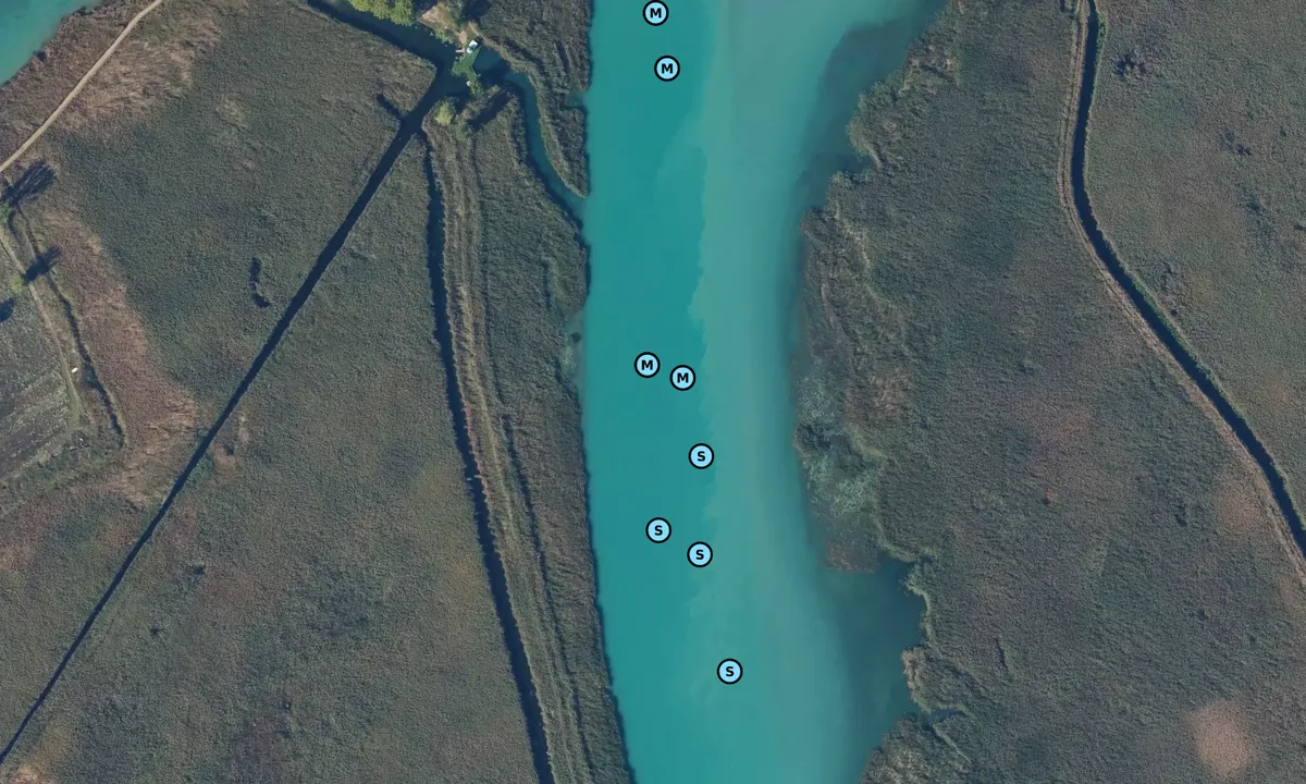 Satelite image of Bassett Channel
