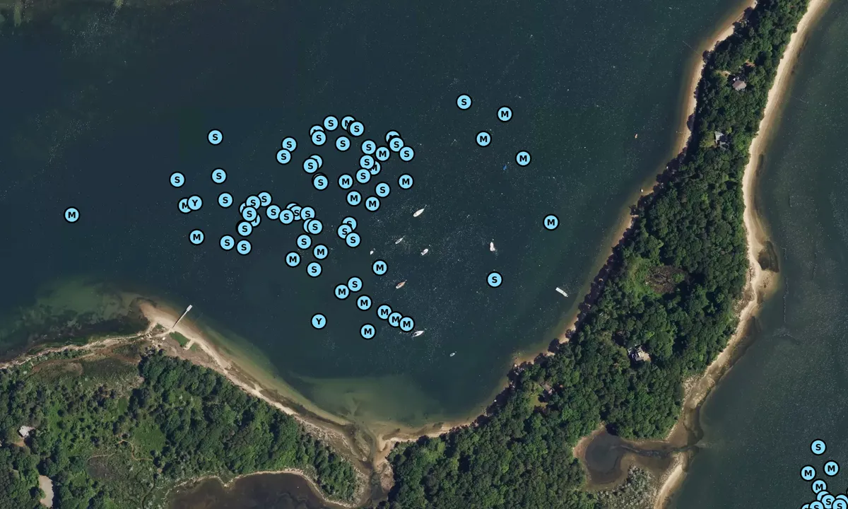 Satelite image of Bassetts Island Bight