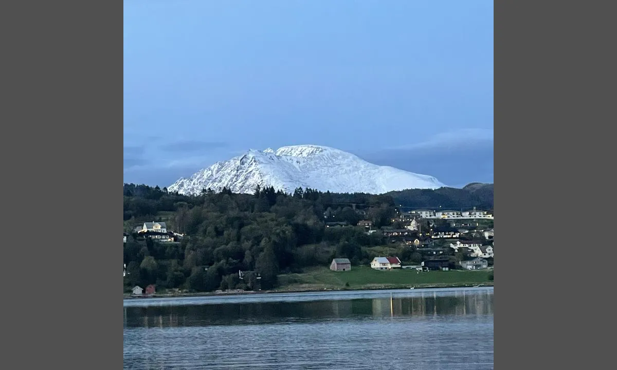 Båtsvika