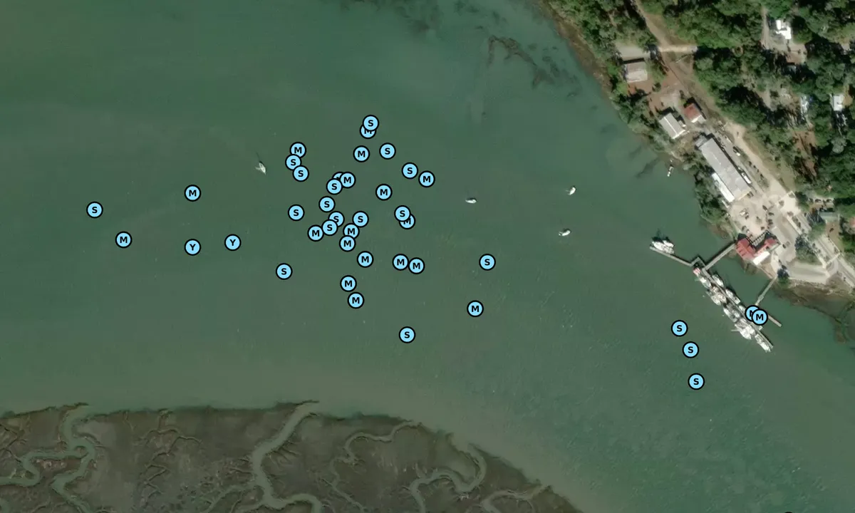Satelite image of Battery Creek - 1