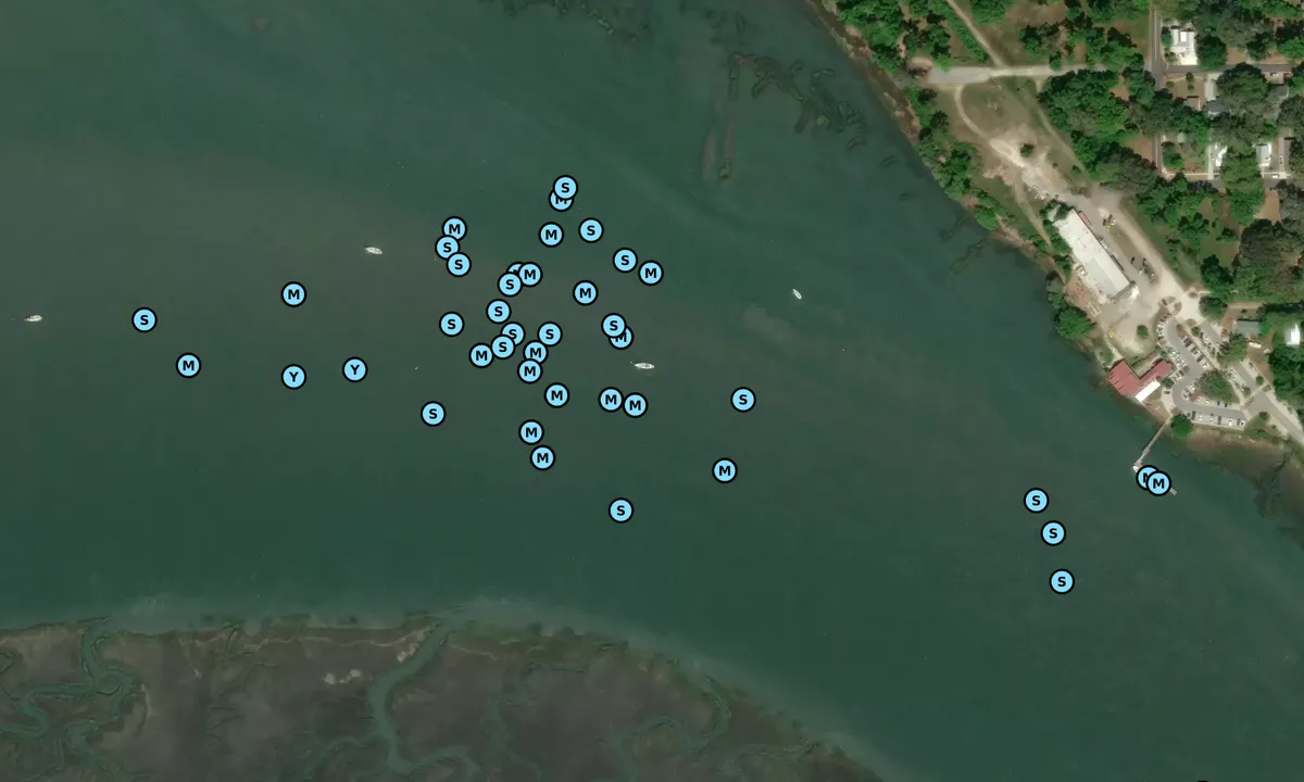 Satelite image of Battery Creek - 1