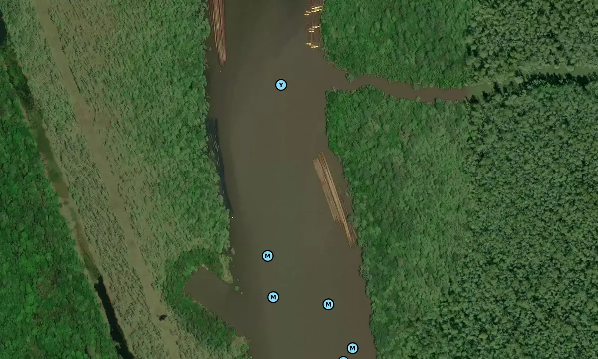 Satelite image of Bayou Black