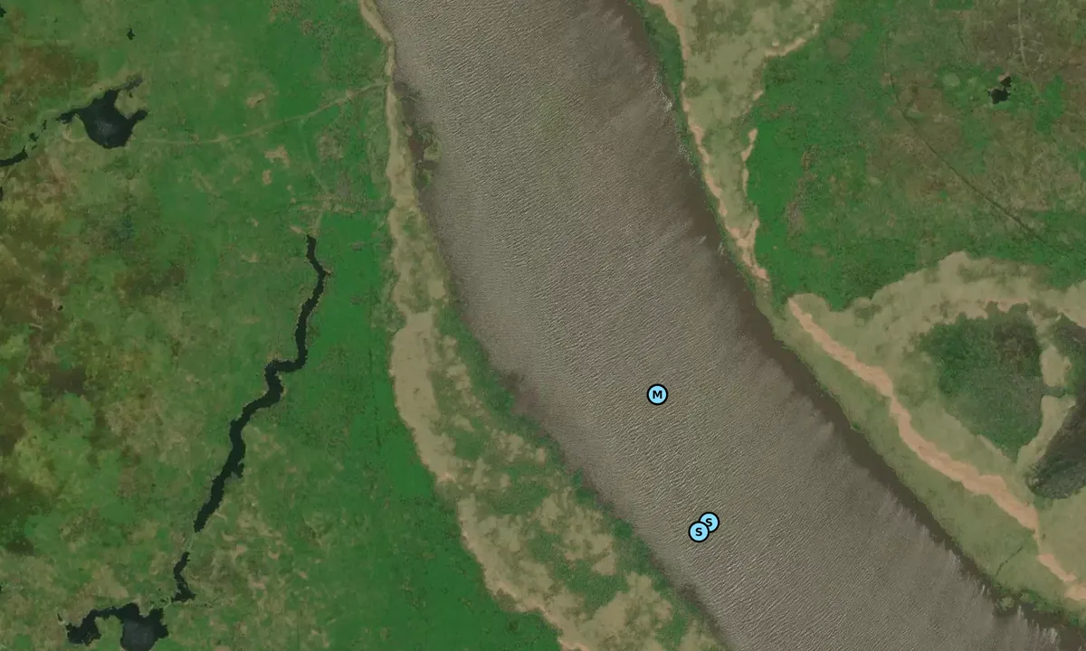 Satelite image of Bayou Petite Anse
