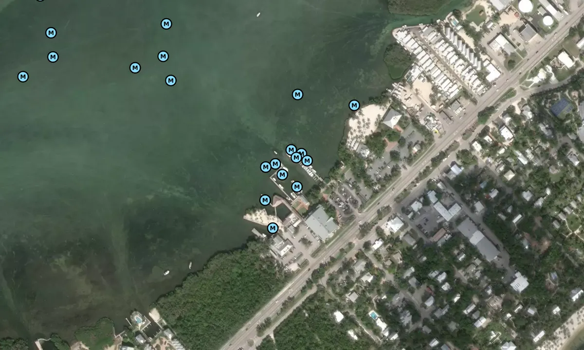 Satelite image of Bayside Marina - Islamorada