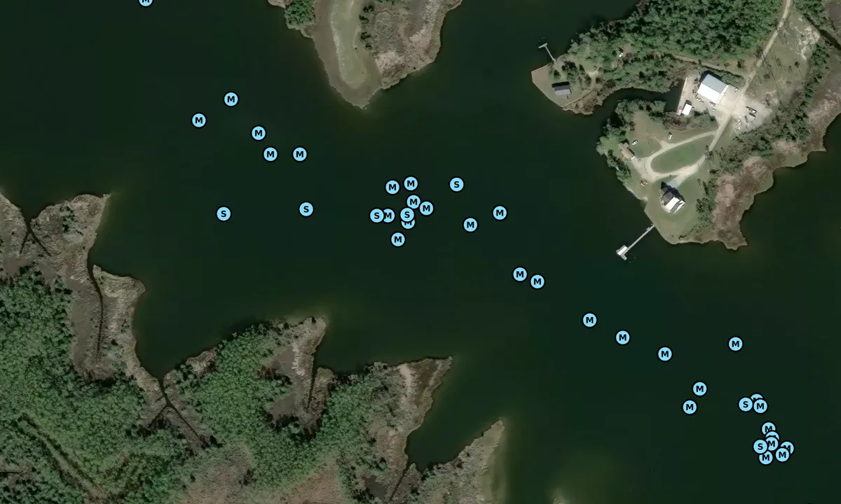 Satelite image of Bear Creek